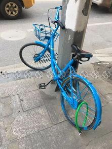 英德共享单车最新爆料,揭秘行业最新爆料与未来趋势 第3张 英德共享单车最新爆料,揭秘行业最新爆料与未来趋势 第3张