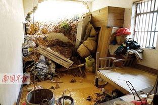 石头镇最新爆料,揭秘神秘事件背后的惊人真相 第3张 石头镇最新爆料,揭秘神秘事件背后的惊人真相 第3张