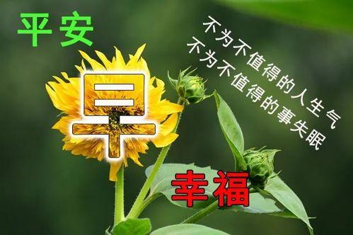 早安最新爆料图片大全集,最新图片大全集精彩瞬间回顾 第2张 早安最新爆料图片大全集,最新图片大全集精彩瞬间回顾 第2张