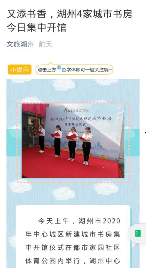 湖州电视台新闻爆料,重大新闻事件背后真相揭晓