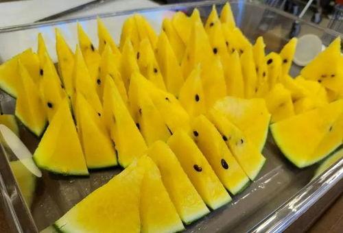 满甜吃瓜全过程免费观看,满甜吃瓜大揭秘,免费观看精彩瞬间 第2张 满甜吃瓜全过程免费观看,满甜吃瓜大揭秘,免费观看精彩瞬间 第2张